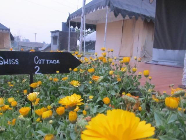 Derra Camp And Resort Jhājra Екстериор снимка